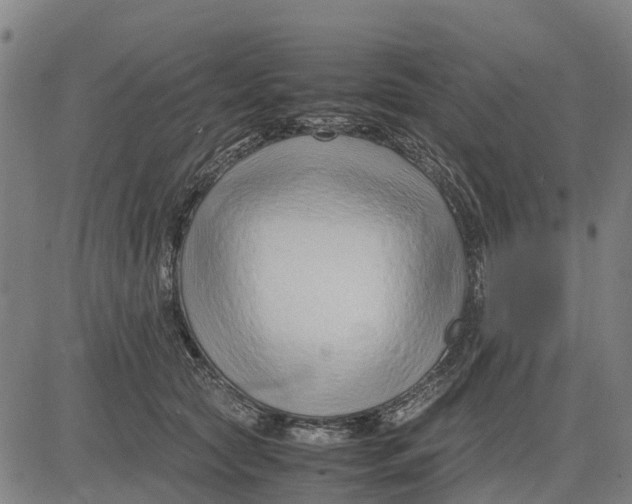 X0000083660561200703051755