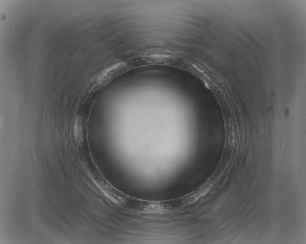 X0000083660562200703051755