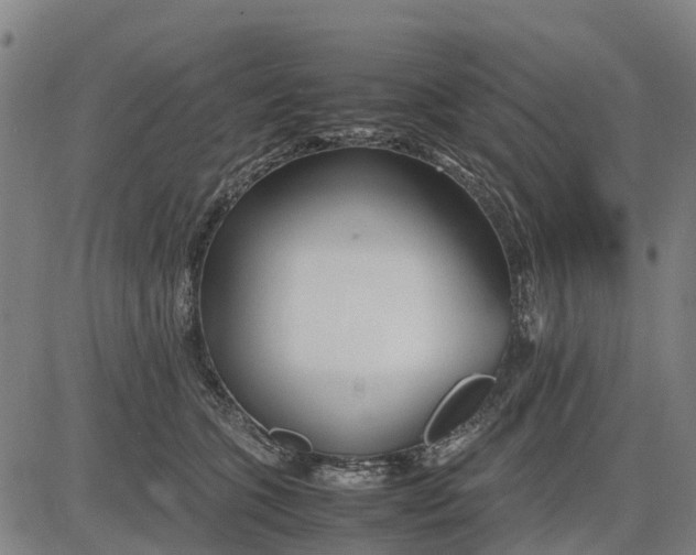 X0000083660563200703051755