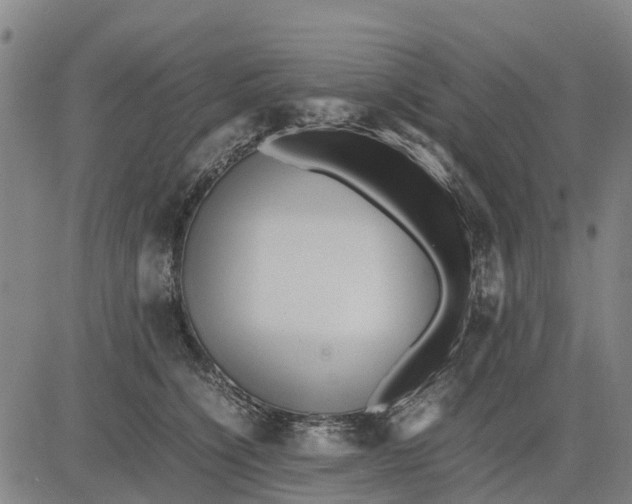 X0000083660564200703051755