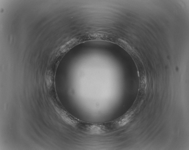 X0000083660566200703051755