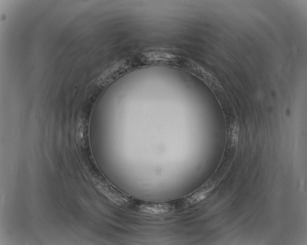 X0000083660567200703051755