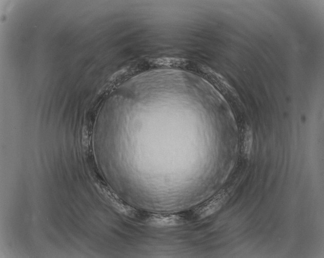 X0000083660569200703051755