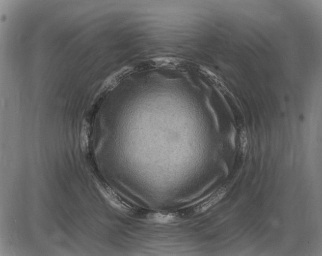 X0000083660570200703051755