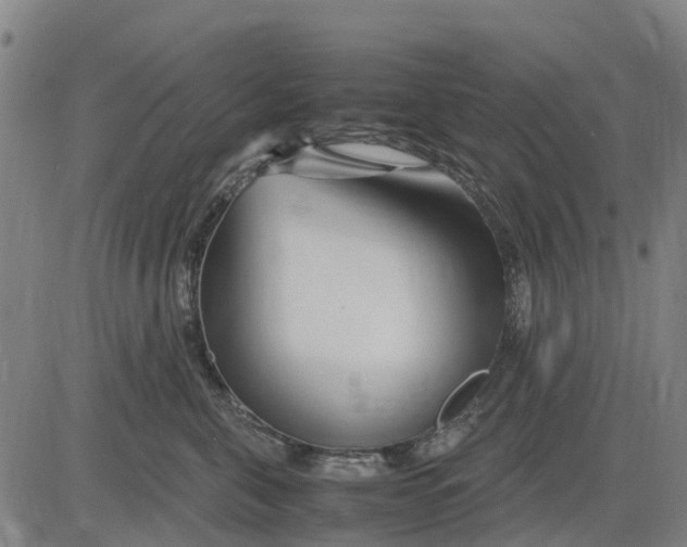 X0000083660571200703051755