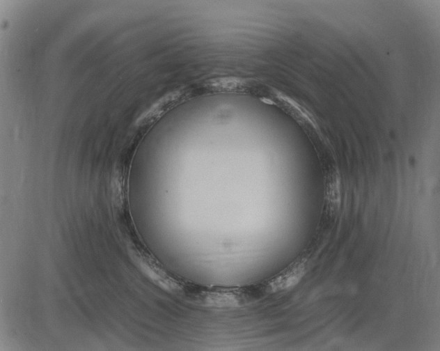 X0000083660572200703051755