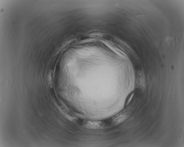 X0000083660573200703051755