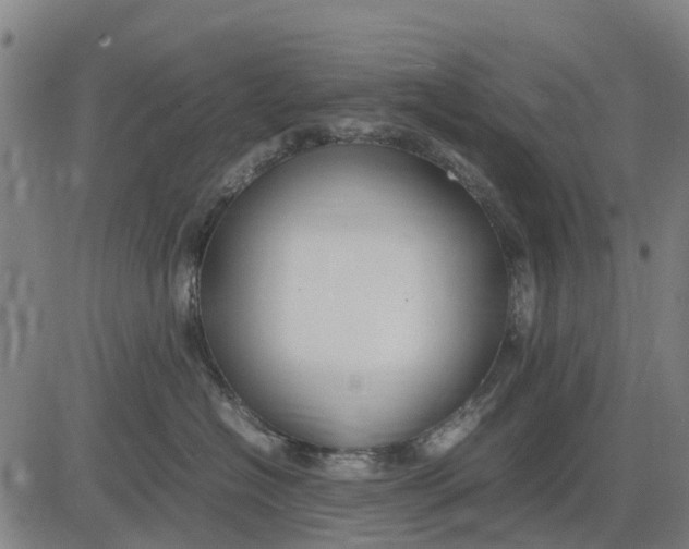 X0000083660574200703051755