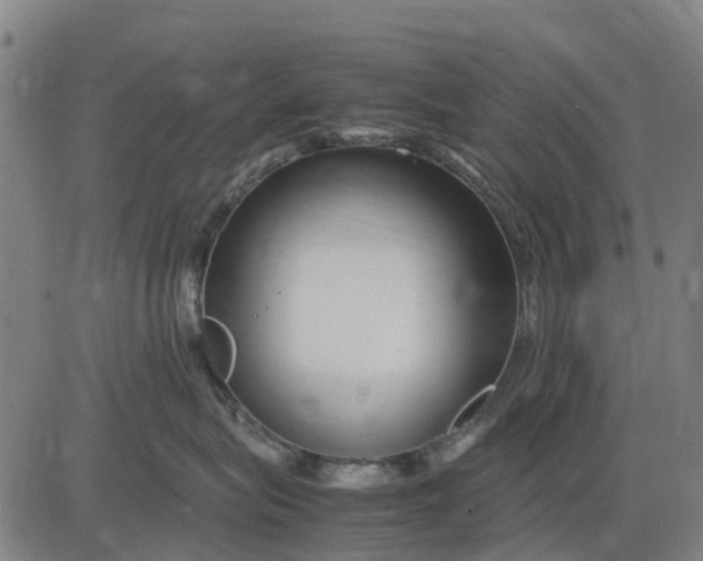 X0000083660575200703051755