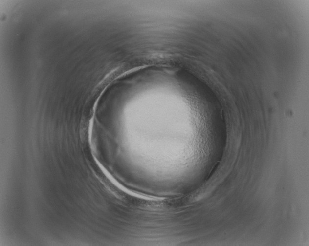 X0000083660576200703051755