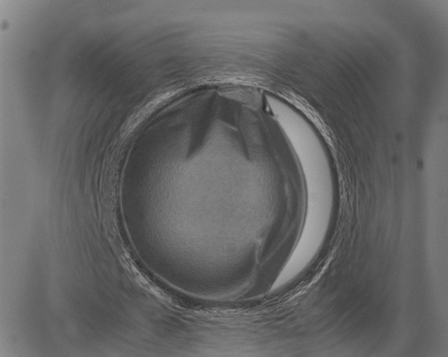 X0000083660577200703051754