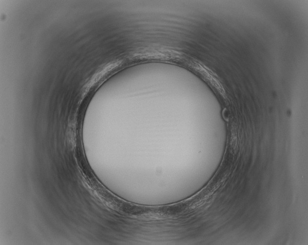 X0000083660578200703051754