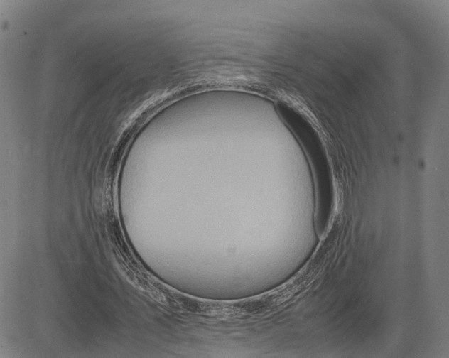 X0000083660579200703051754