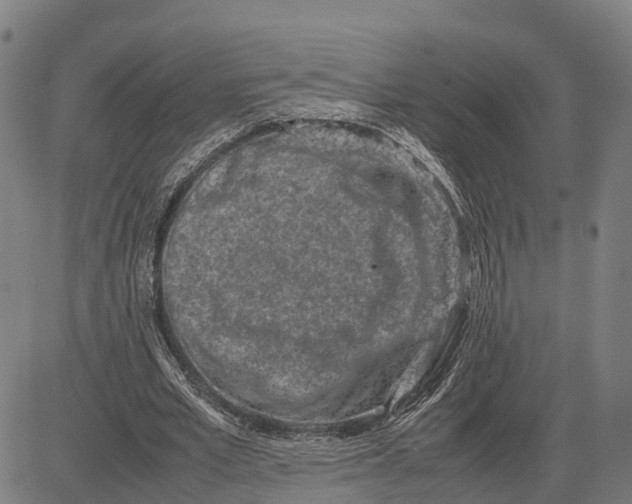 X0000083660581200703051754