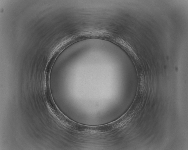 X0000083660582200703051754