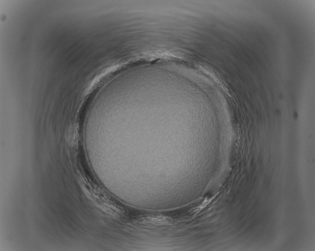 X0000083660583200703051754