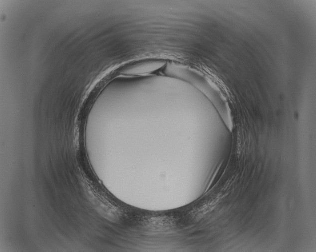 X0000083660584200703051754