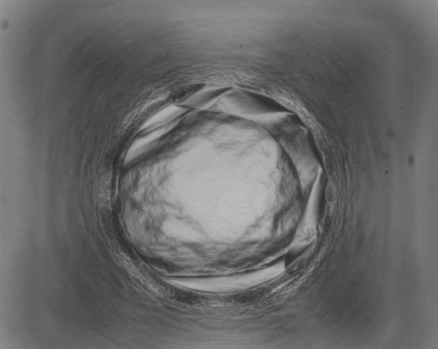 X0000083660585200703051754