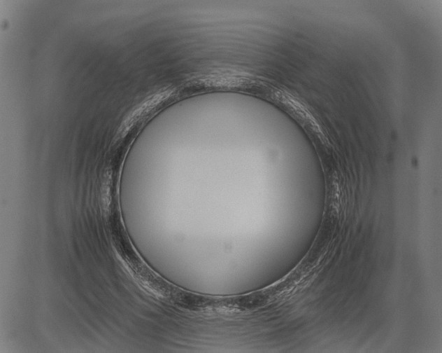 X0000083660586200703051754