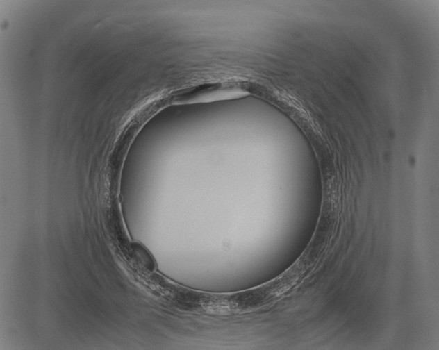 X0000083660587200703051754