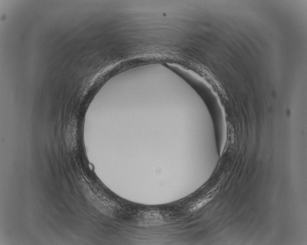 X0000083660588200703051754