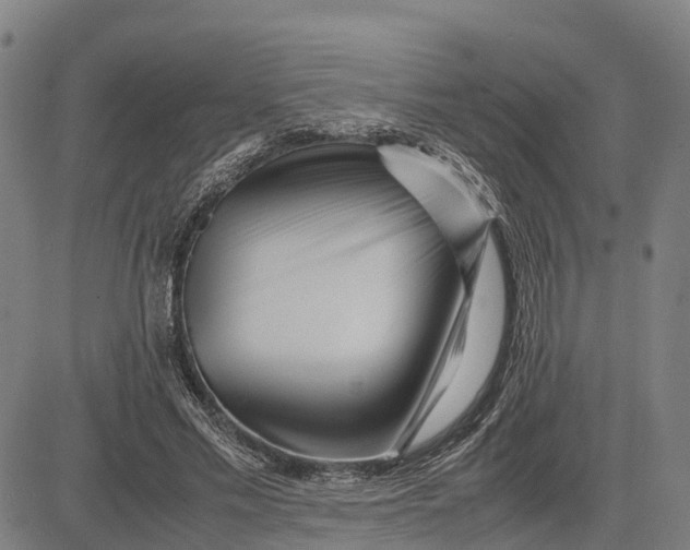 X0000083660589200703051754