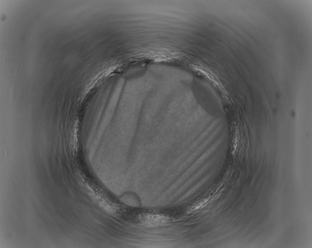 X0000083660590200703051754