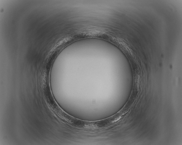 X0000083660591200703051754