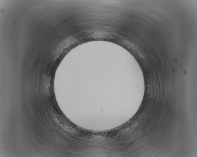 X0000083660592200703051754