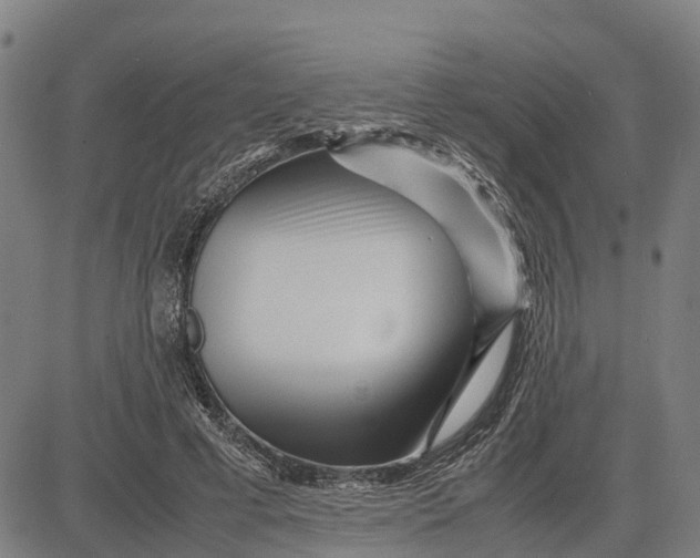 X0000083660593200703051754