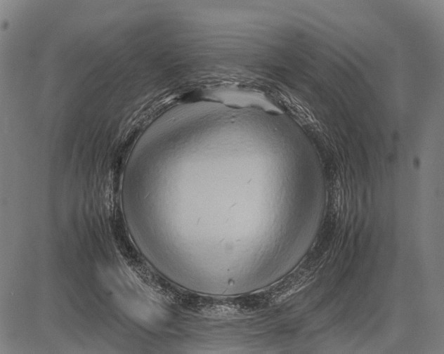 X0000083660594200703051754