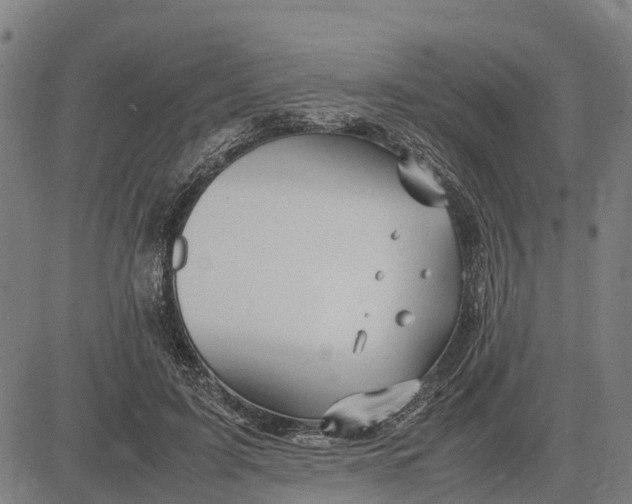 X0000083660595200703051754