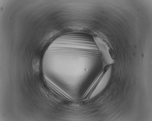 X0000083660596200703051754