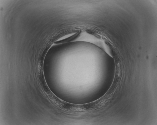 X0000083660597200703051754