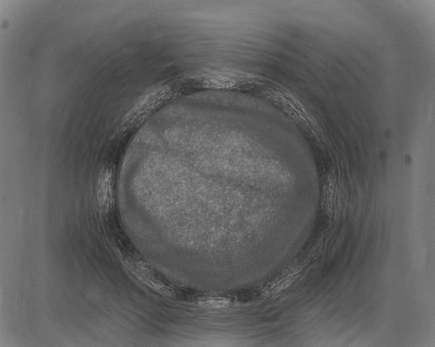 X0000083660598200703051754