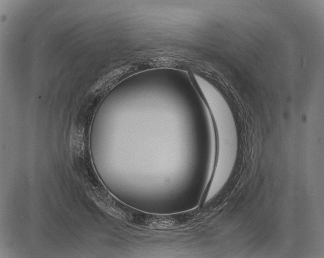 X0000083660599200703051754