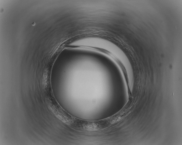 X0000083660600200703051754