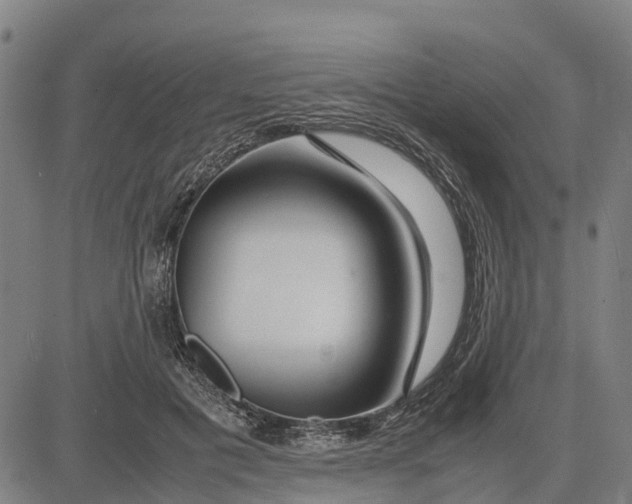 X0000083660601200703051754