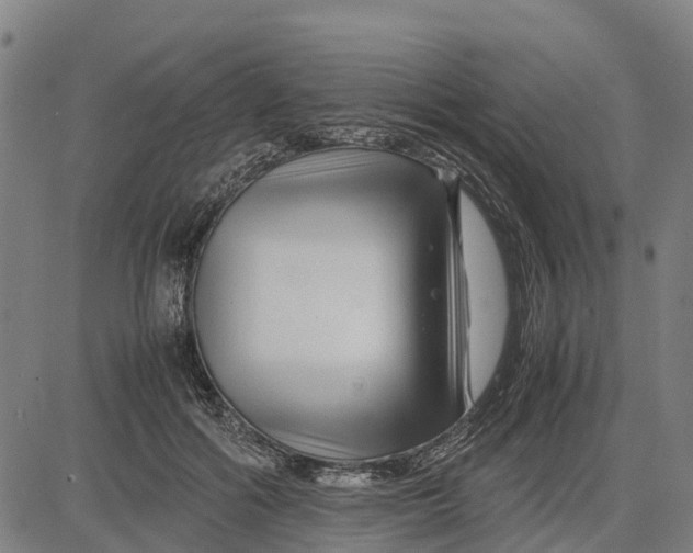 X0000083660602200703051754