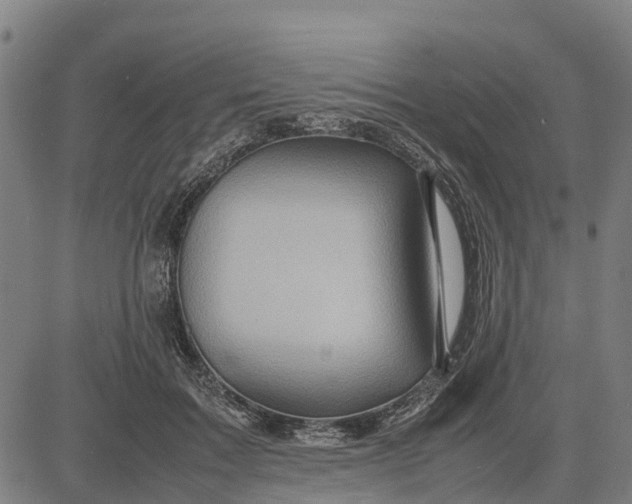 X0000083660603200703051754