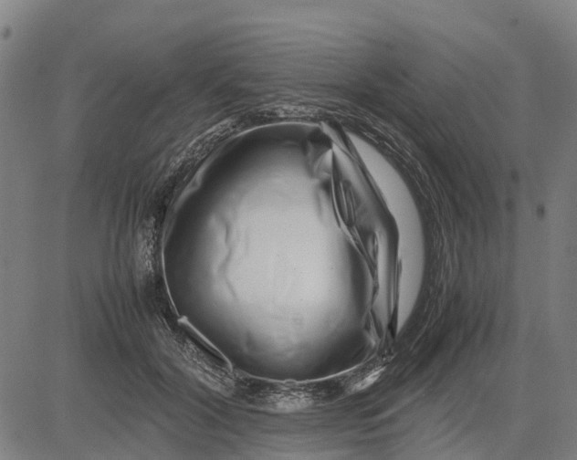 X0000083660604200703051754