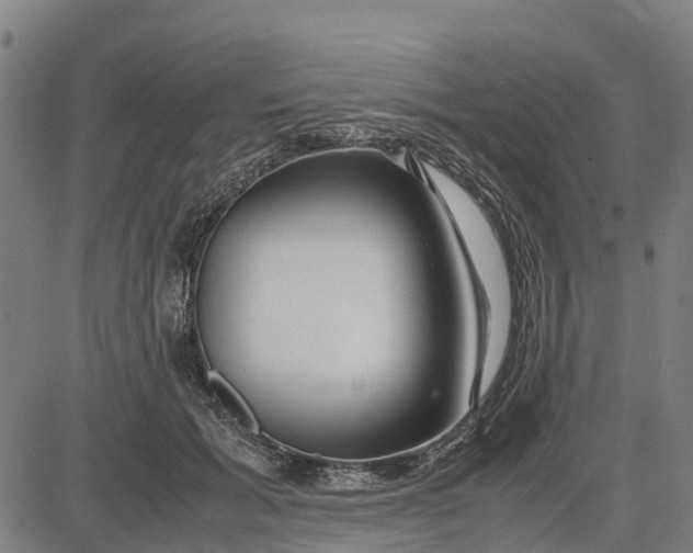 X0000083660605200703051754