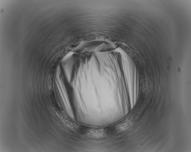 X0000083660606200703051754