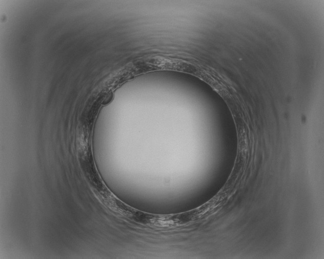 X0000083660607200703051753