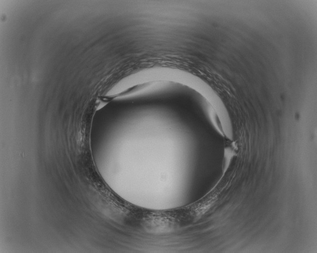 X0000083660608200703051753