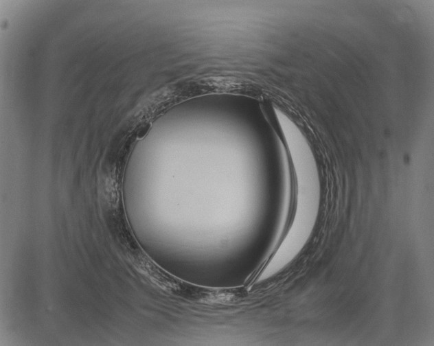 X0000083660609200703051753