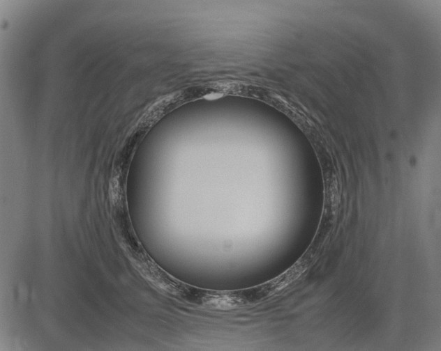 X0000083660611200703051753