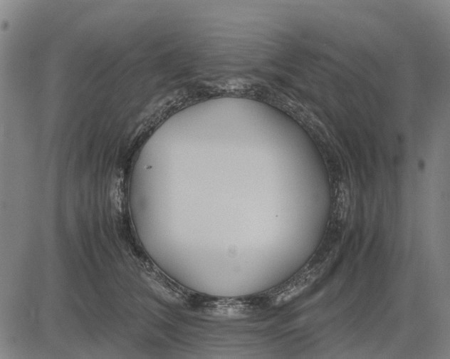 X0000083660612200703051753