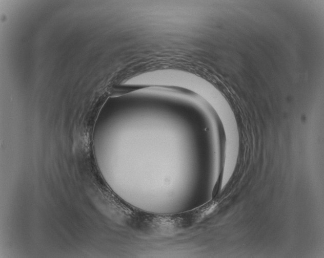 X0000083660613200703051753