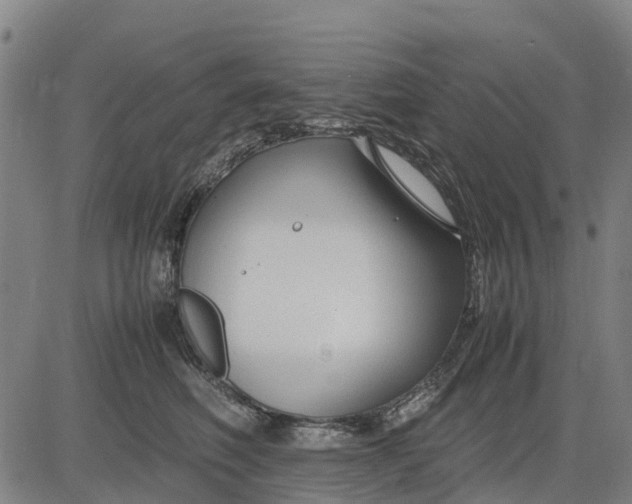 X0000083660614200703051753